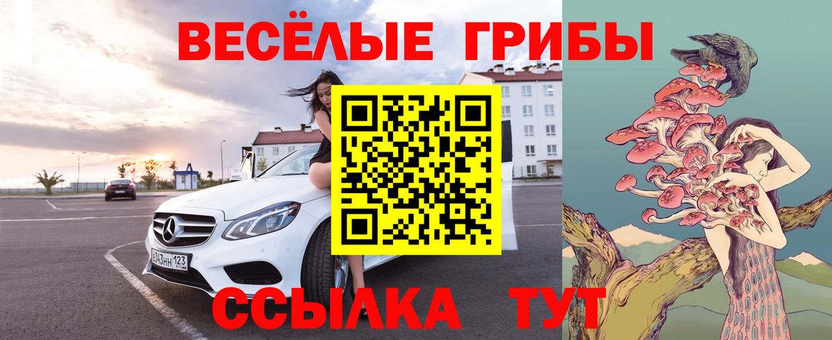 Галлюциногенные грибы Psilocybine cubensis  цена   Вход с VPN  Владивосток  Псилоцибиновые грибы GOLDEN TEACHER 
